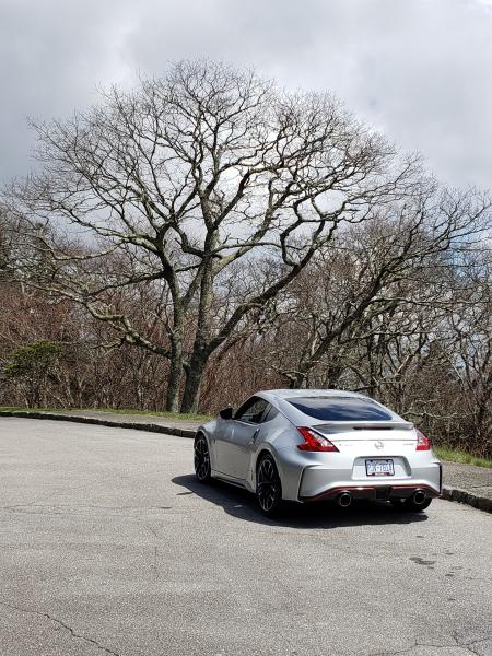 Blue Ridge Pkwy. Asheville, NC 4/2019