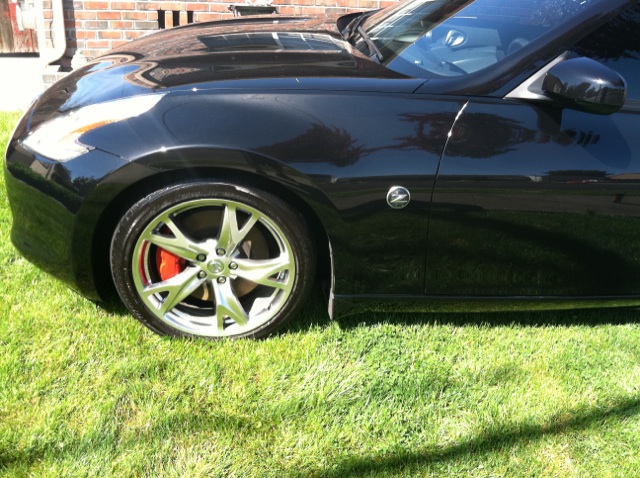 painted the brake calipers