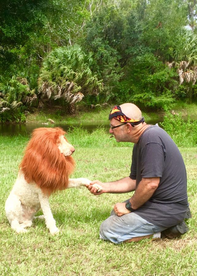 Everyone should have a pet Lion