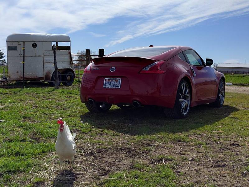 some farm action w the Z