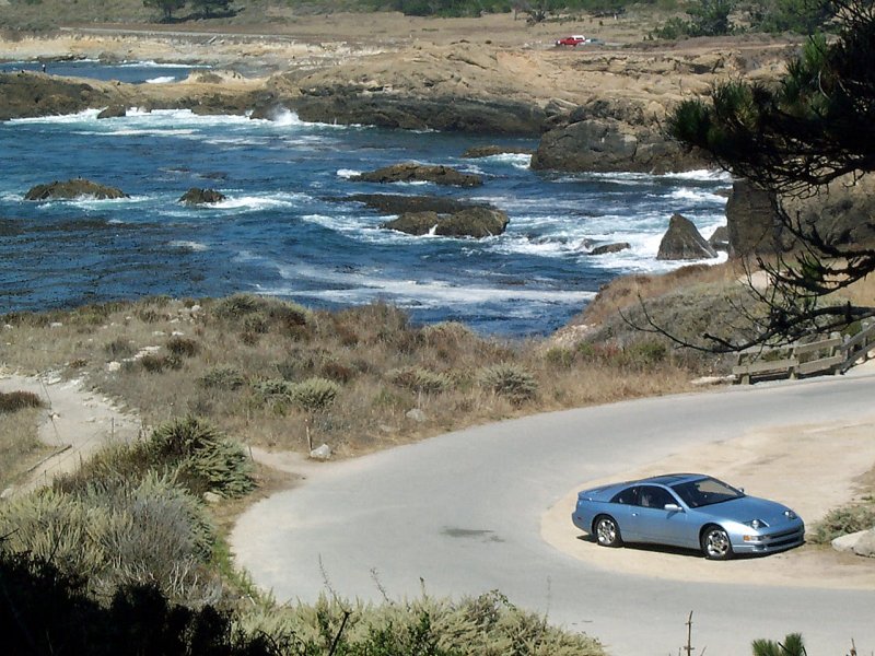 At Point Lobos, Carmel, Ca