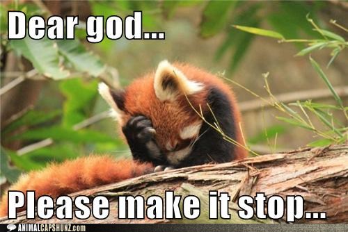 funny animal captions dear god please make it stop