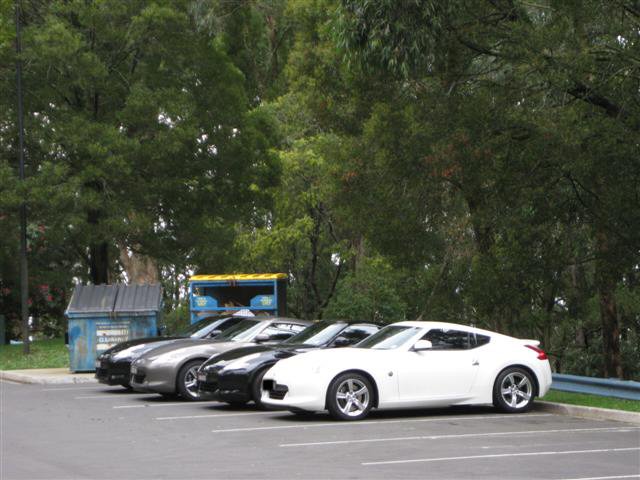 Z Cruise 007 (Small)