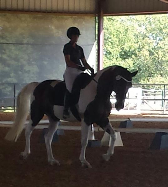 winning at Training level 1 dressage test!!!