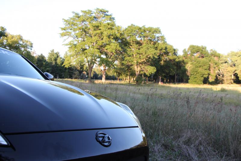 Emblems and tall grass, a perfect combination