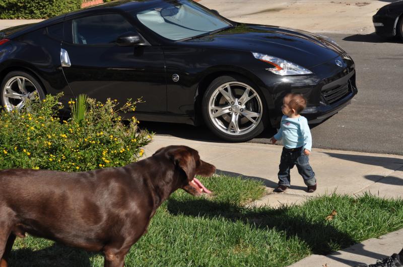 My niece, her dog and my car in the background.  *I just realized I need more pictures of my car.  Haha.