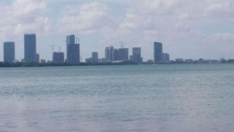 Looking at Miami from M Beach