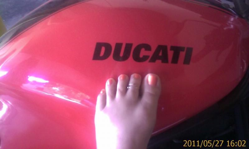 DucatiToes