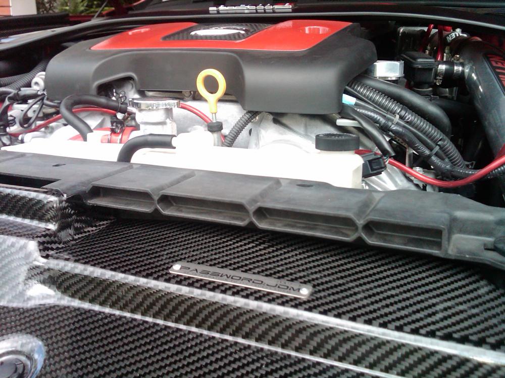 Password:JDM CF Radiator Cooling Plate Installed (2)