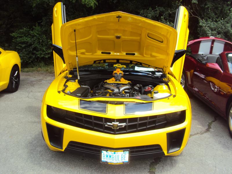 Bumble Bee