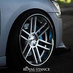 Royal Stance Shoot