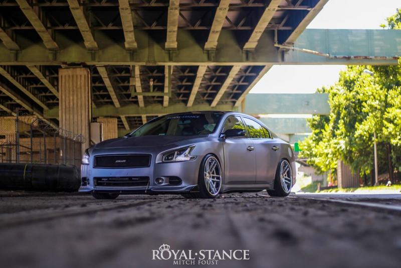 Royal Stance Shoot